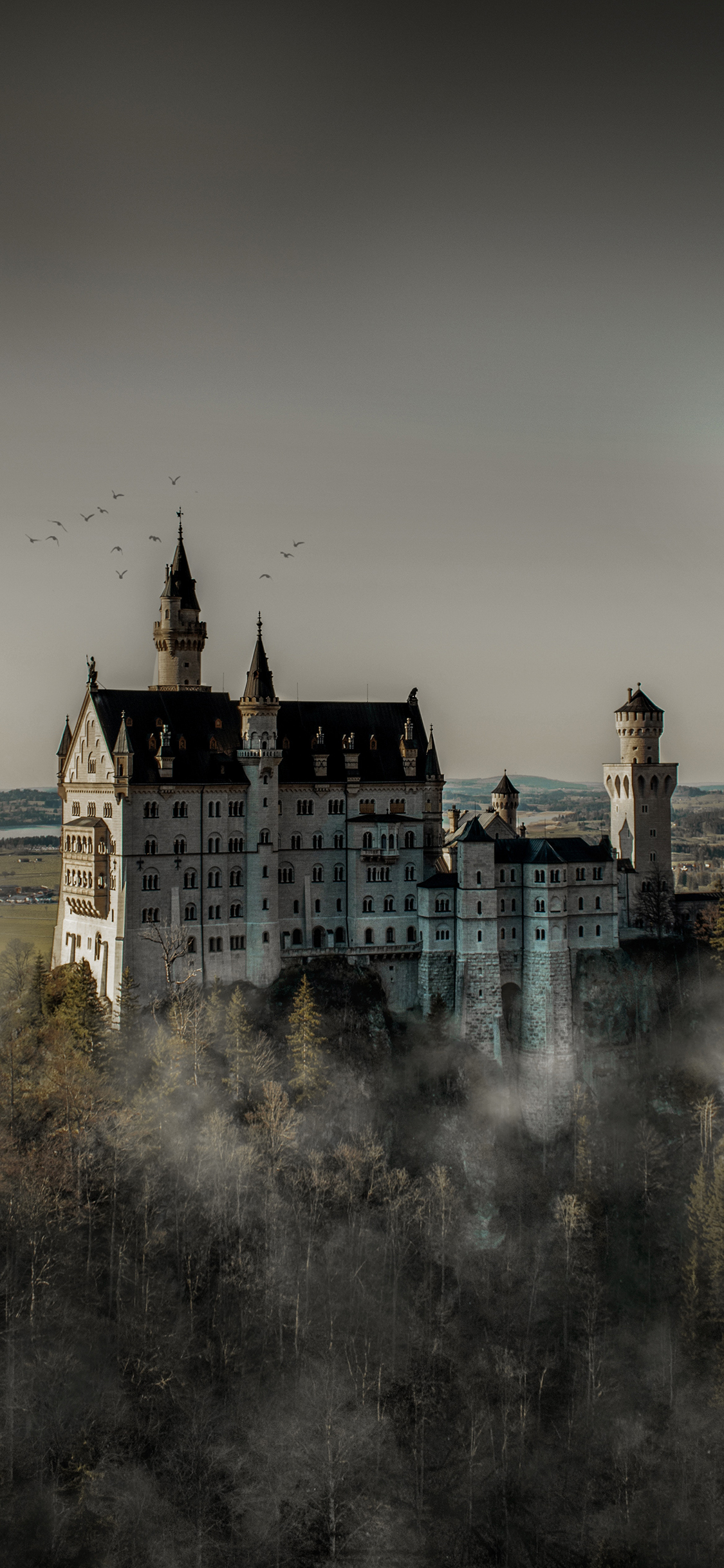[2436×1125]树木 城堡 神秘 飞鸟 苹果手机壁纸图片