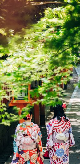 [2436x1125]树木 枝叶 女孩背影 日本和服 苹果手机壁纸图片