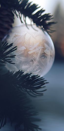 [2436x1125]树木 气泡 结冰 霜花 苹果手机壁纸图片