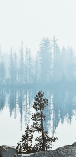 [2436x1125]树木 湖泊 倒影 美景 苹果手机壁纸图片