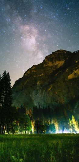 [2436x1125]树林 夜晚 星空 灯光 苹果手机壁纸图片