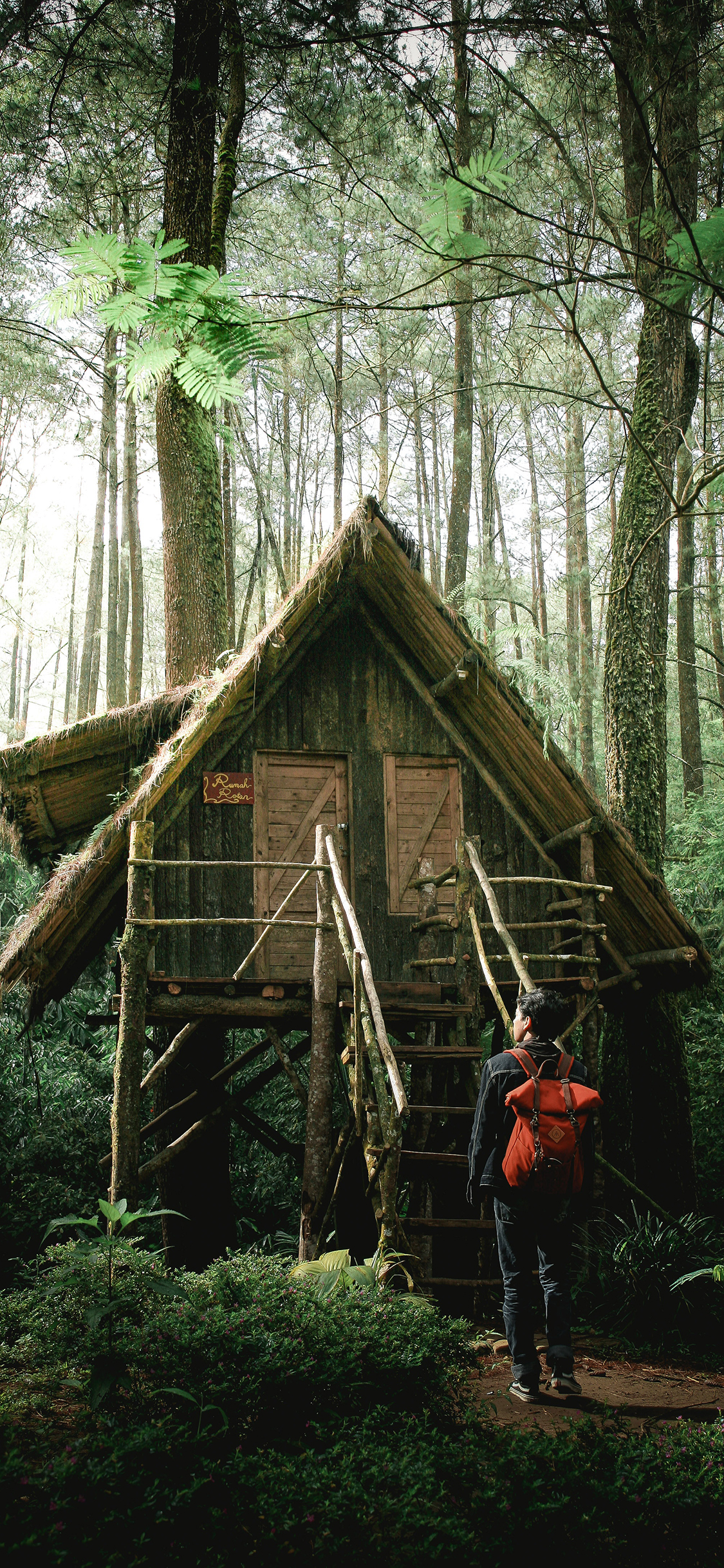 [2436×1125]树林 木屋 景观 搭建 苹果手机壁纸图片