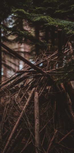 [2436x1125]树林 木柴 堆积 砍伐 苹果手机壁纸图片