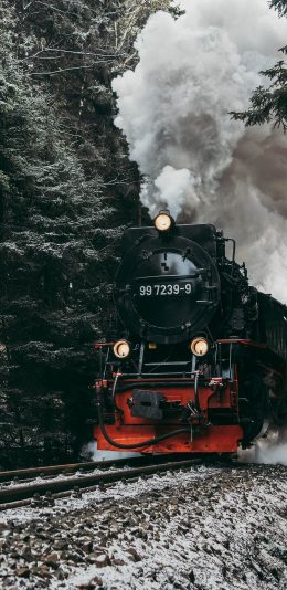 [2436x1125]树林 火车 轨道 烟雾 苹果手机壁纸图片