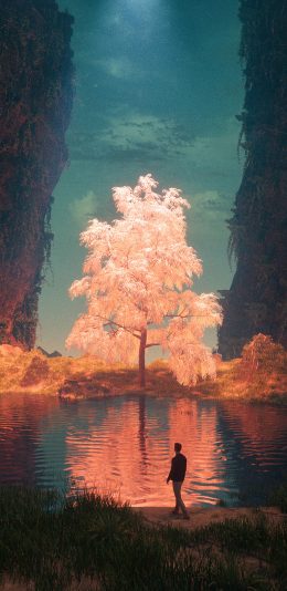 [2436x1125]梦境 树木 神秘 梦幻 男子 湖水 倒影 苹果手机壁纸图片