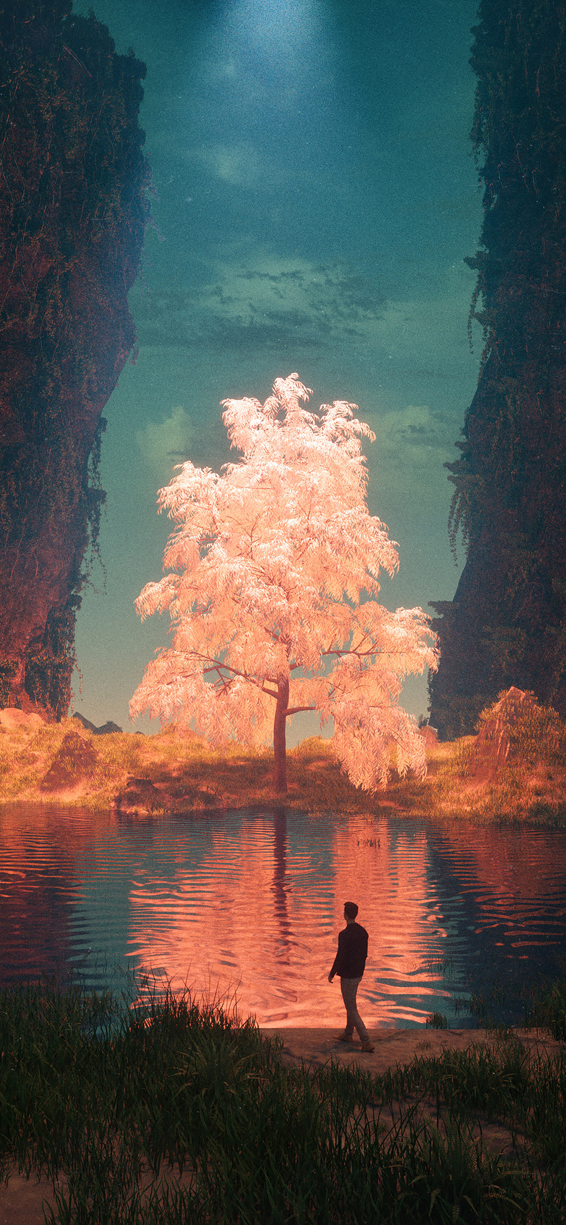 [2436×1125]梦境 树木 神秘 梦幻 男子 湖水 倒影 苹果手机壁纸图片