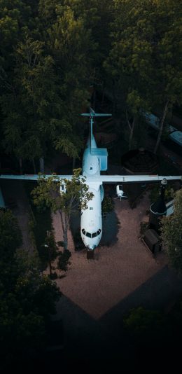 [2436x1125]森林 停放 飞机 白色 苹果手机壁纸图片