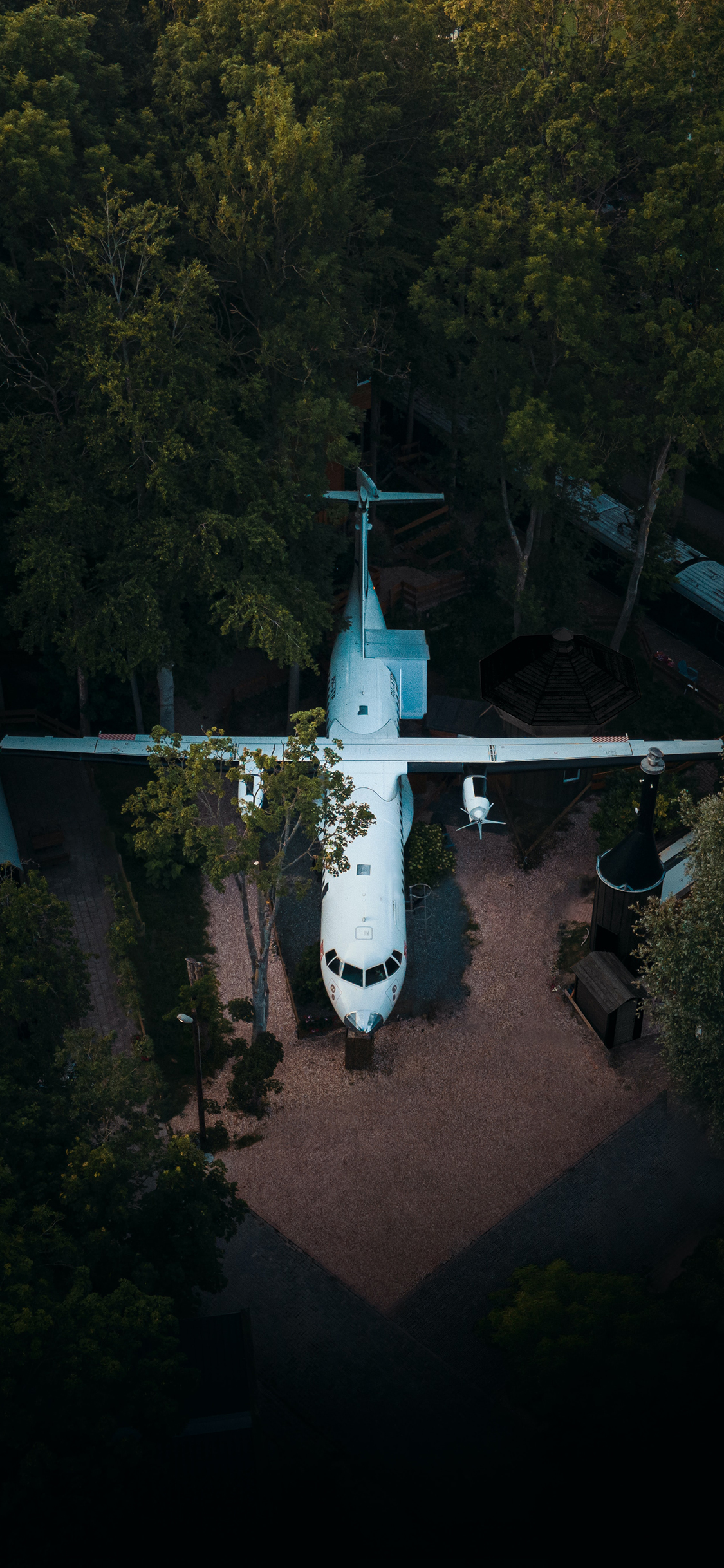 [2436×1125]森林 停放 飞机 白色 苹果手机壁纸图片