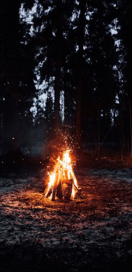 [2436x1125]森林 夜景 火堆 燃烧 苹果手机壁纸图片
