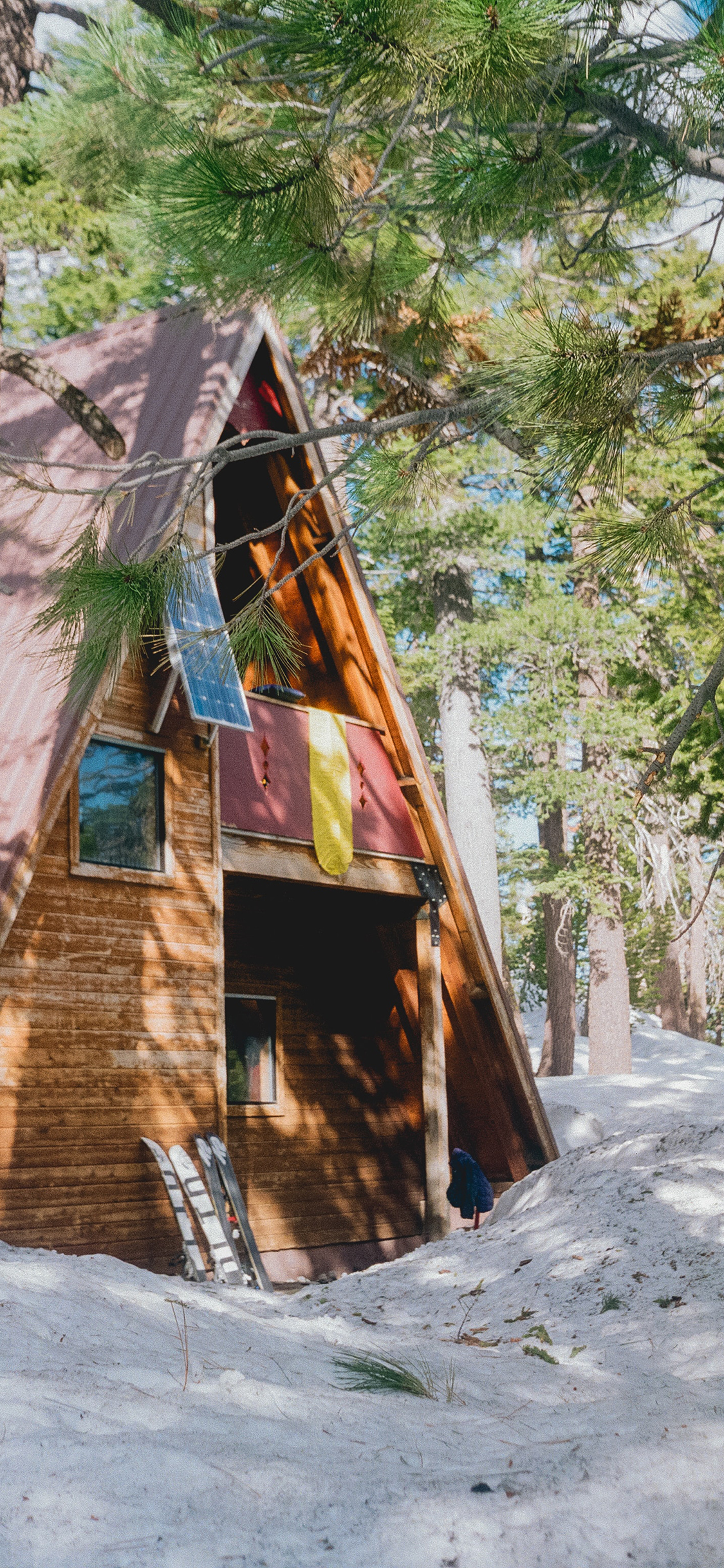 [2436×1125]森林 小木屋 白雪覆盖 树木 苹果手机壁纸图片