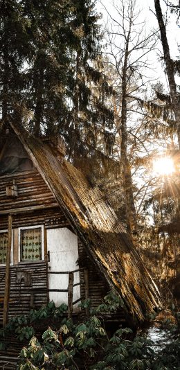 [2436x1125]森林 木屋 阳光 自然 苹果手机壁纸图片