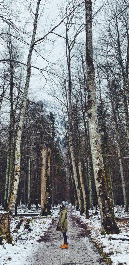 [2436x1125]森林 树木 女孩 白雪 苹果手机壁纸图片