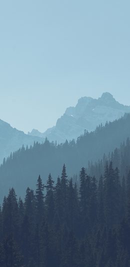 [2436x1125]森林 树林 大山 大自然 苹果手机壁纸图片