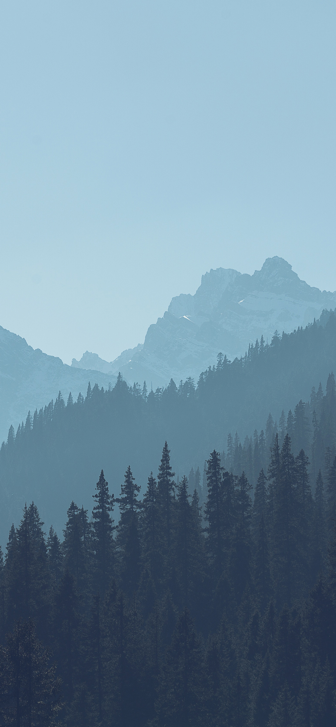 [2436×1125]森林 树林 大山 大自然 苹果手机壁纸图片