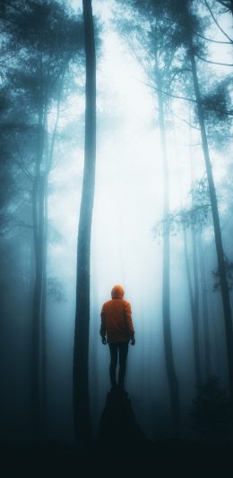 [2436x1125]森林 背影 黄色上衣 意境 苹果手机壁纸图片