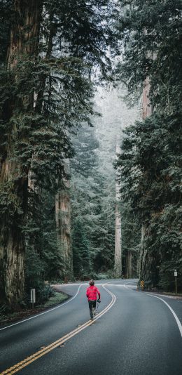 [2436x1125]森林 道路 树木 奔跑 背影 苹果手机壁纸图片