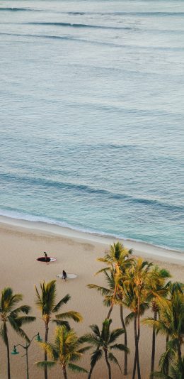 [2436x1125]椰树 大海 海滩 海浪 苹果手机壁纸图片