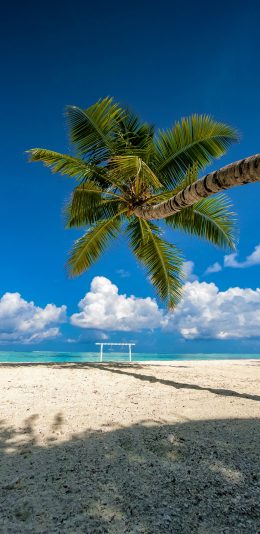 [2436x1125]椰树 沙滩 大海 天空 蔚蓝 苹果手机壁纸图片