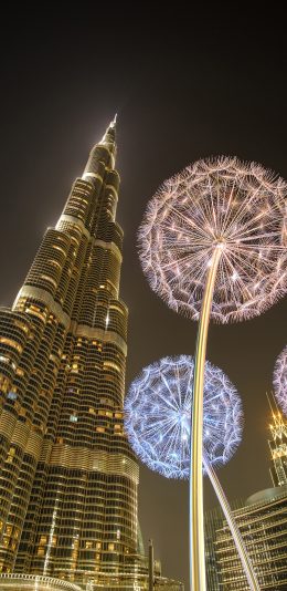 [2436x1125]楼宇 蒲公英 装饰 建筑 标志物 苹果手机壁纸图片