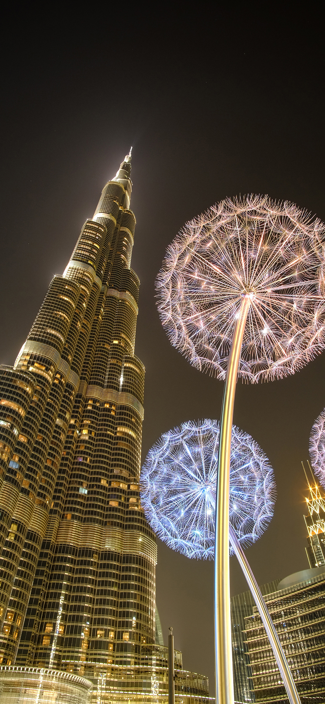 [2436×1125]楼宇 蒲公英 装饰 建筑 标志物 苹果手机壁纸图片