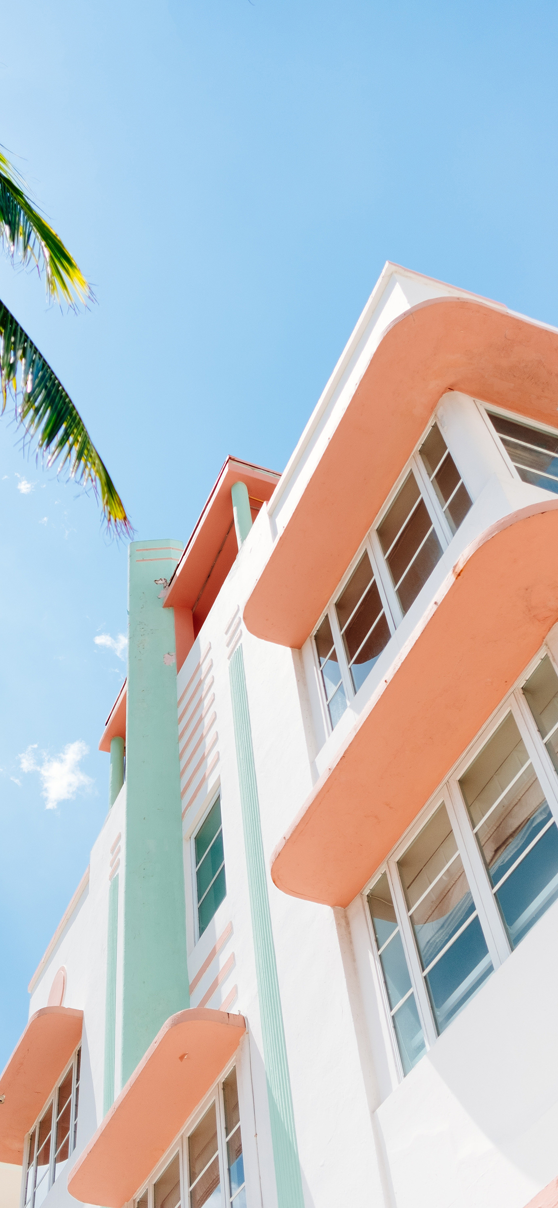 [2436×1125]楼房 建筑 蓝天白云 小清新 枝叶 苹果手机壁纸图片