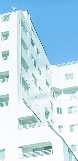 [2436x1125]楼房 建筑 蓝白 小清新 房屋 苹果手机壁纸图片