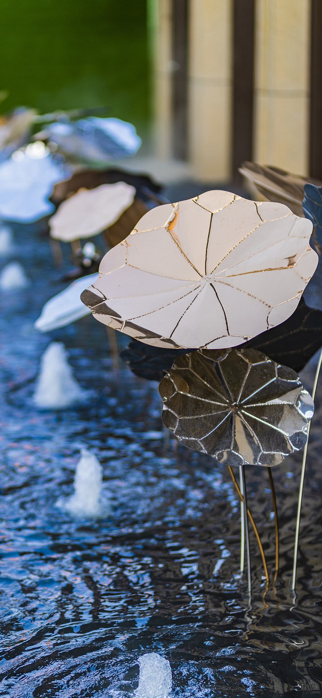 [2436×1125]水池 喷泉 景观 荷叶 装饰 苹果手机壁纸图片