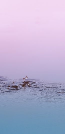 [2436x1125]水面 水滴 波纹 苹果手机壁纸图片