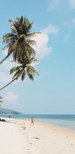 [2436x1125]沙滩  海岸 椰树 大海 苹果手机壁纸图片