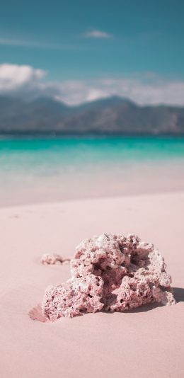 [2436x1125]沙滩 大海 海滩 珊瑚 苹果手机壁纸图片