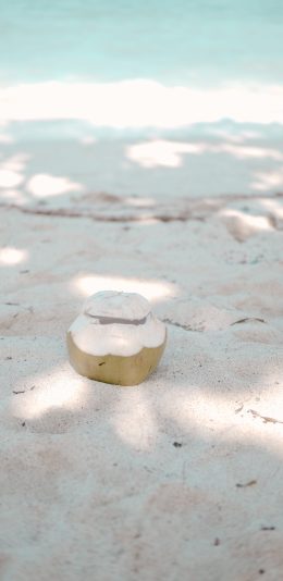 [2436x1125]沙滩 椰子 海岸 阳光 苹果手机壁纸图片