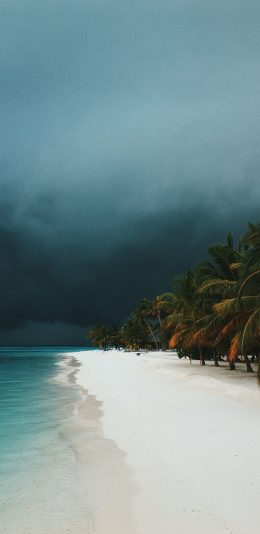 [2436x1125]沙滩 海边 大海 海浪 苹果手机壁纸图片