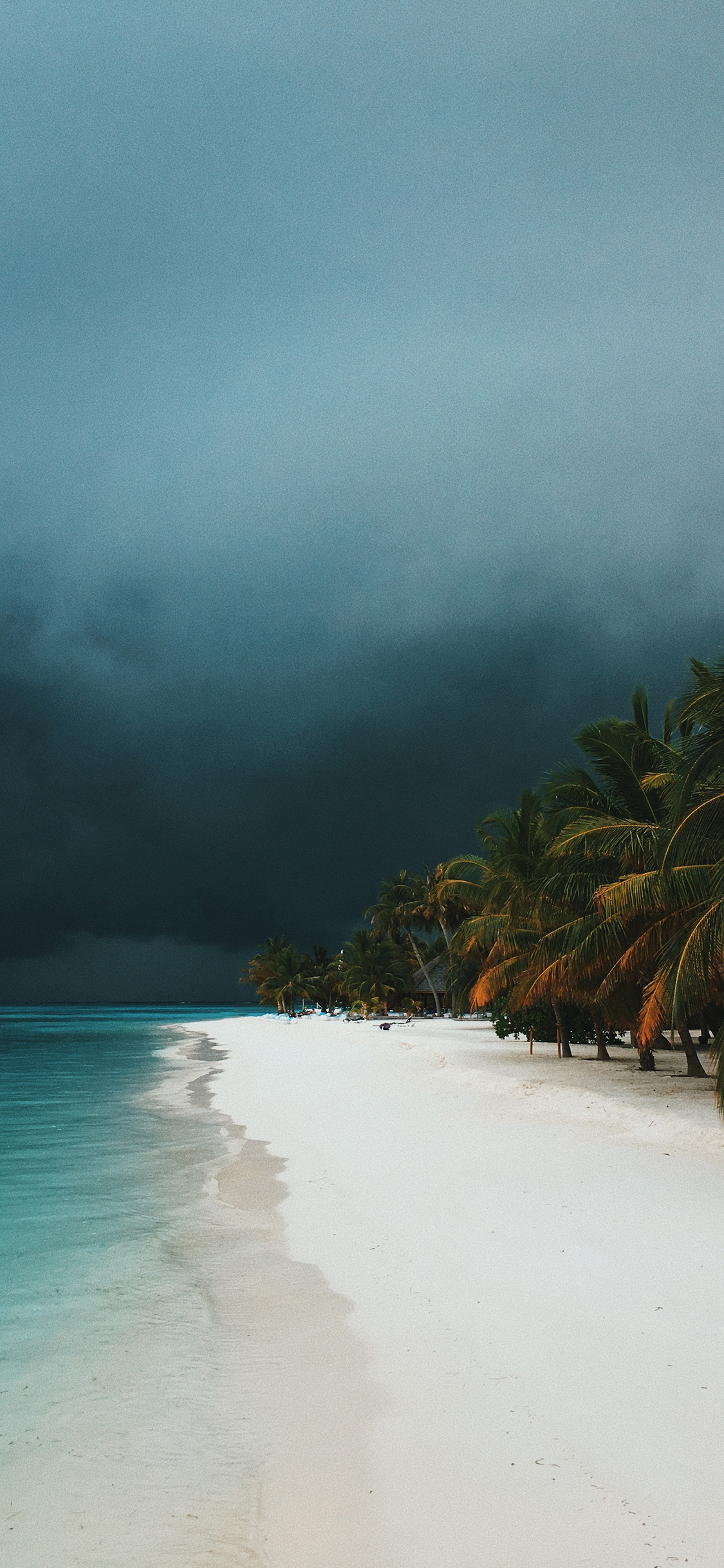 [2436×1125]沙滩 海边 大海 海浪 苹果手机壁纸图片