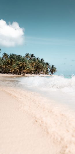 [2436x1125]沙滩 海边 热带 海浪 苹果手机壁纸图片