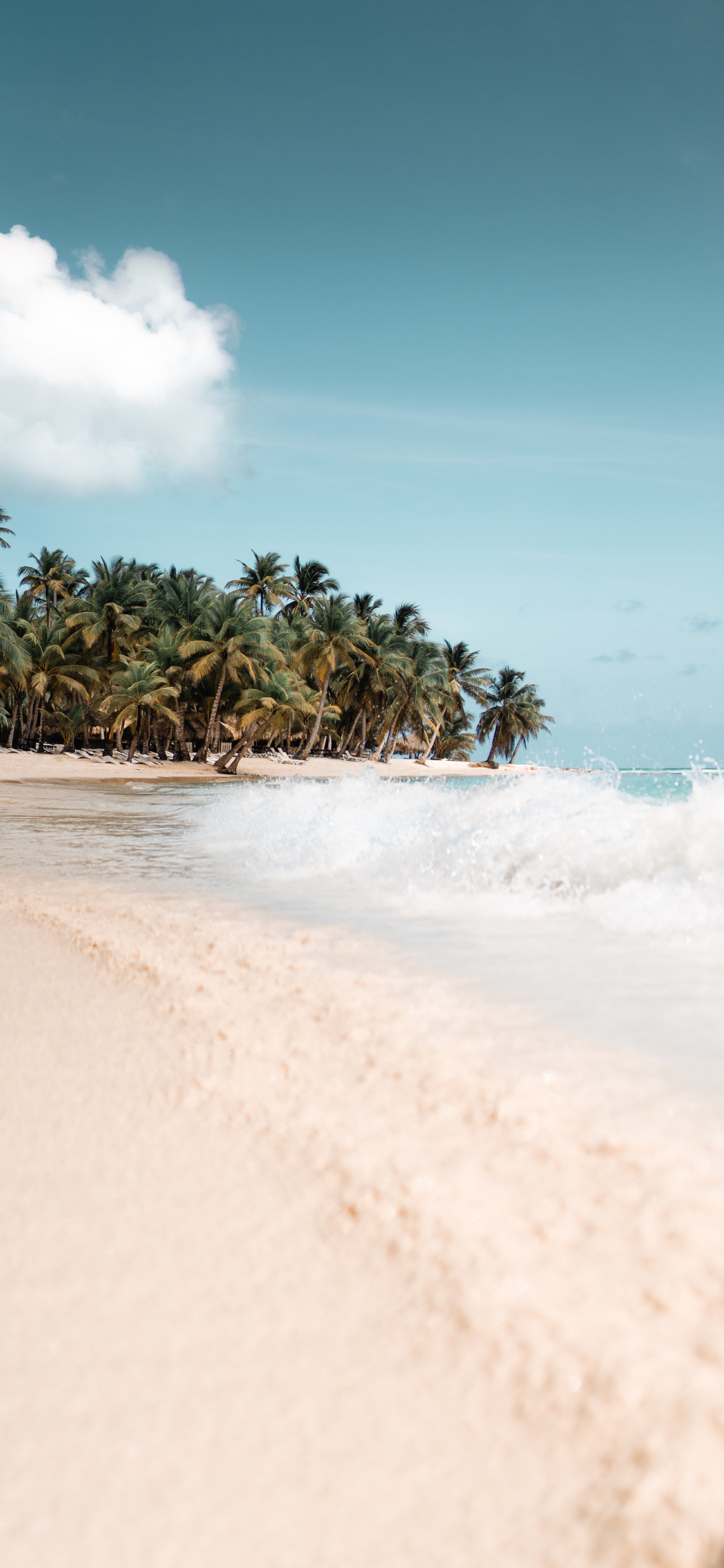 [2436×1125]沙滩 海边 热带 海浪 苹果手机壁纸图片