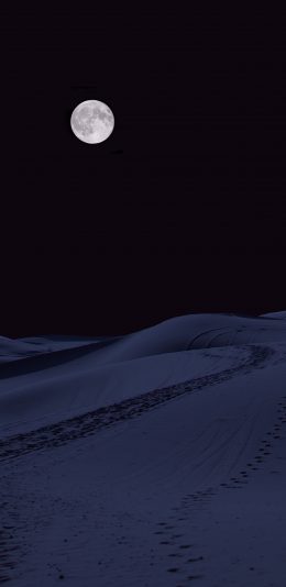 [2436x1125]沙漠 夜晚 月亮 圆月 黑暗 苹果手机壁纸图片