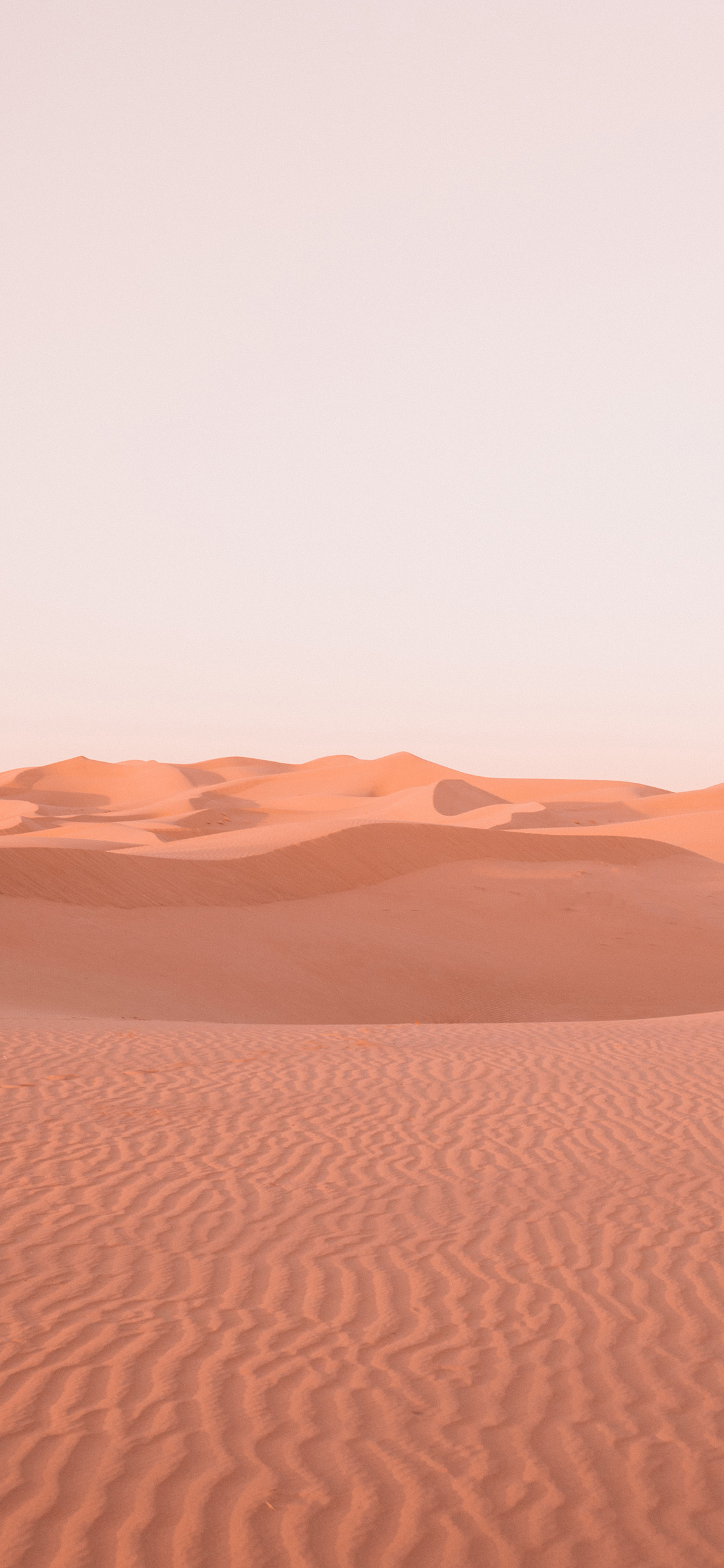 [2436×1125]沙漠 大自然 热带 纹路 苹果手机壁纸图片