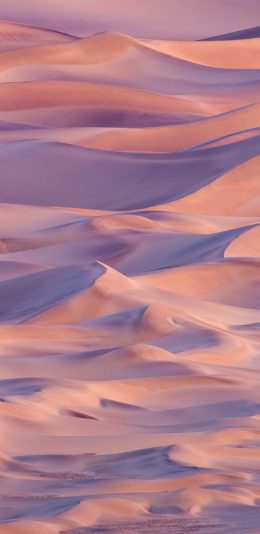 [2436x1125]沙漠 大自然 荒漠 曲线 光影 苹果手机壁纸图片