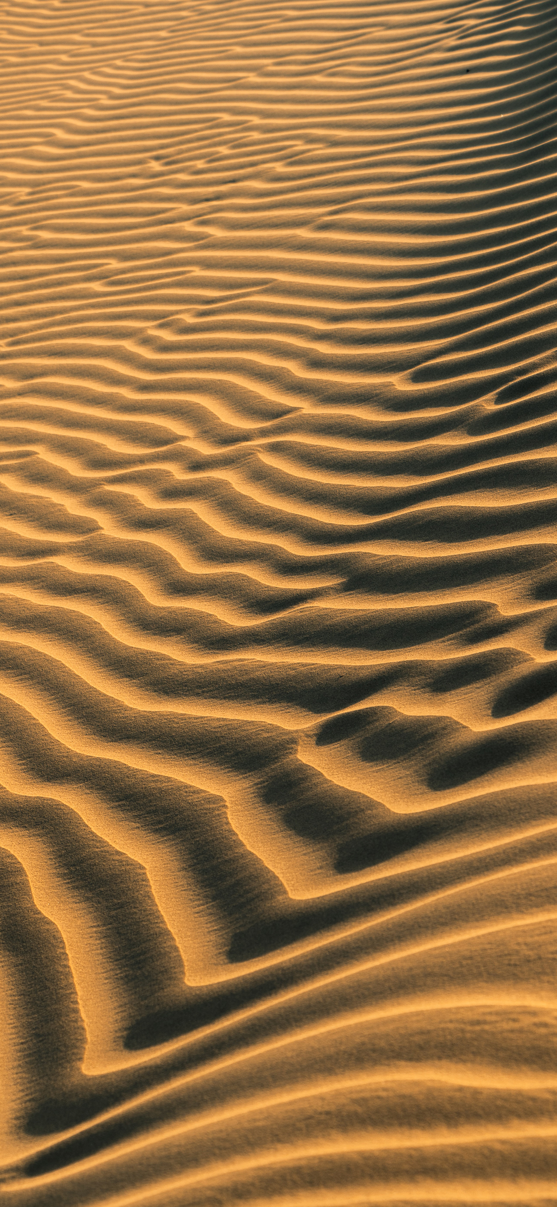 [2436×1125]沙漠 流沙 光影 苹果手机壁纸图片