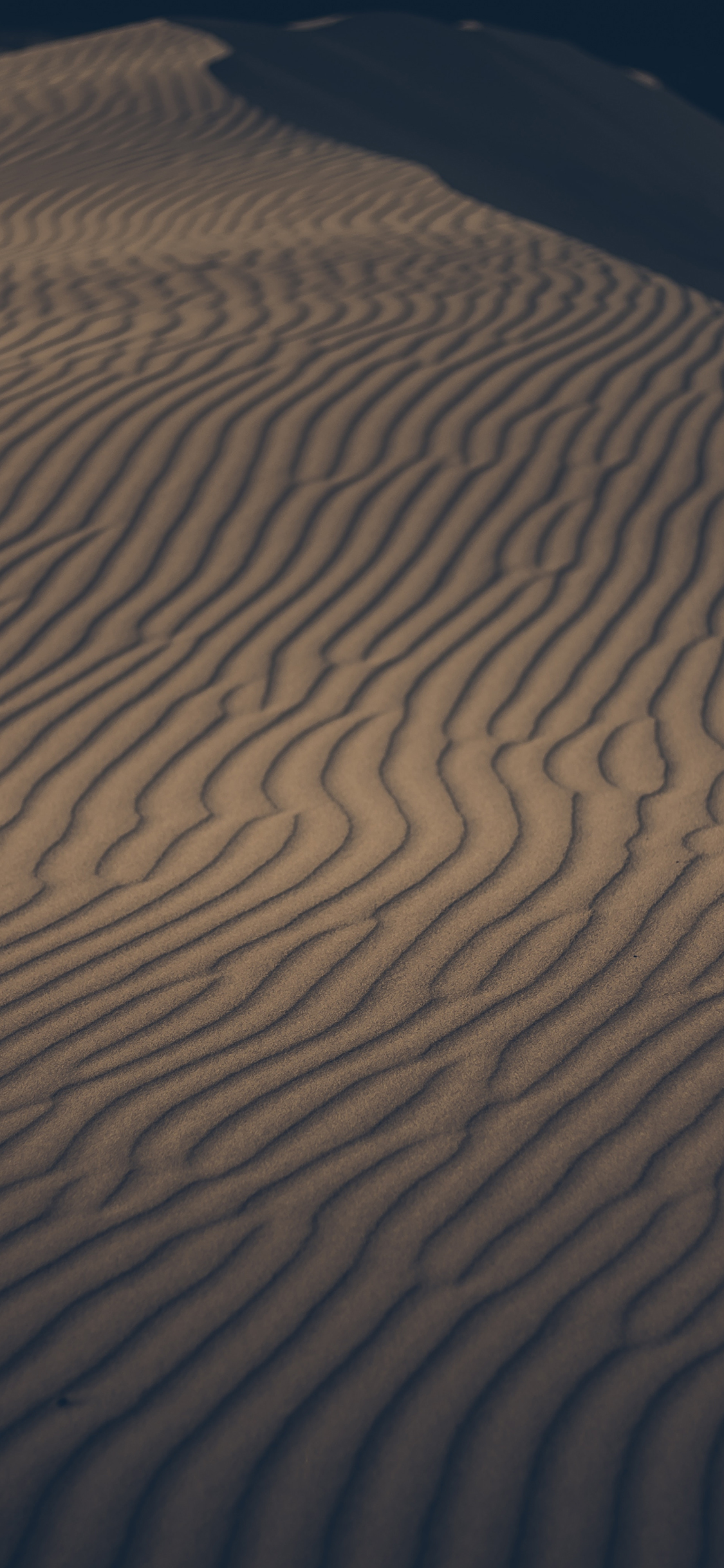 [2436×1125]沙漠 线条 大自然 苹果手机壁纸图片