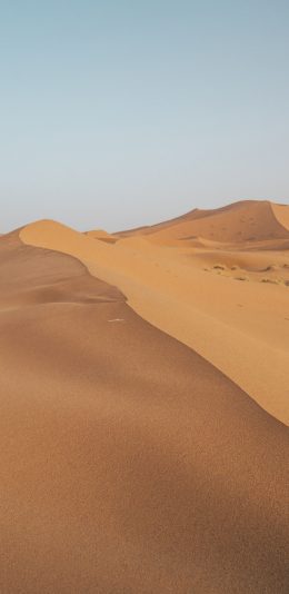 [2436x1125]沙漠 荒漠 野外 沙地 苹果手机壁纸图片