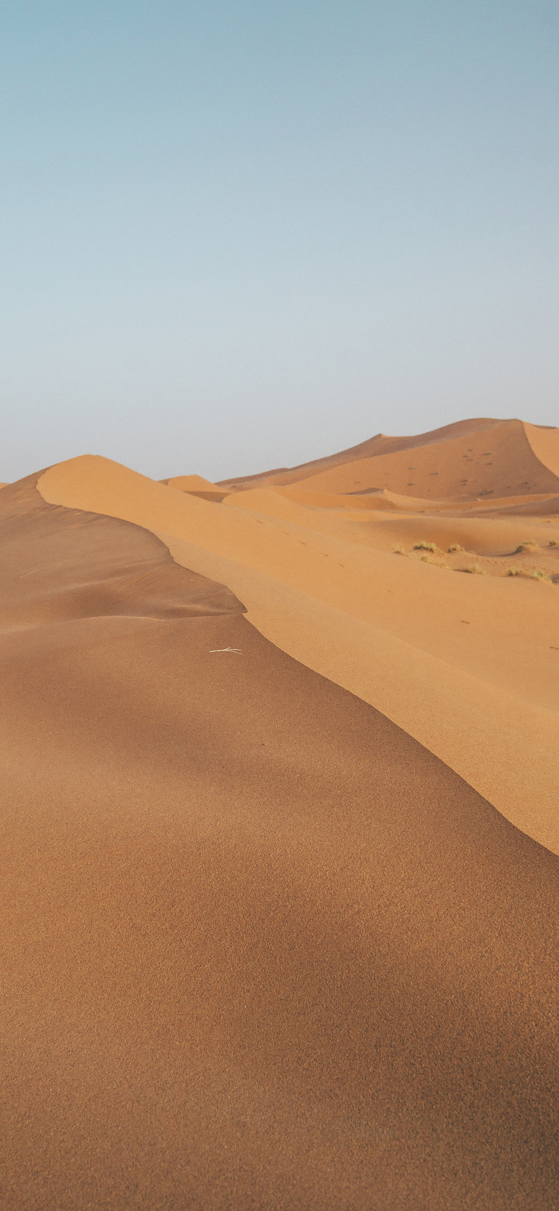 [2436×1125]沙漠 荒漠 野外 沙地 苹果手机壁纸图片