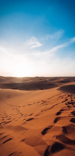 [2436x1125]沙漠 荒漠化 天空 唯美 苹果手机壁纸图片