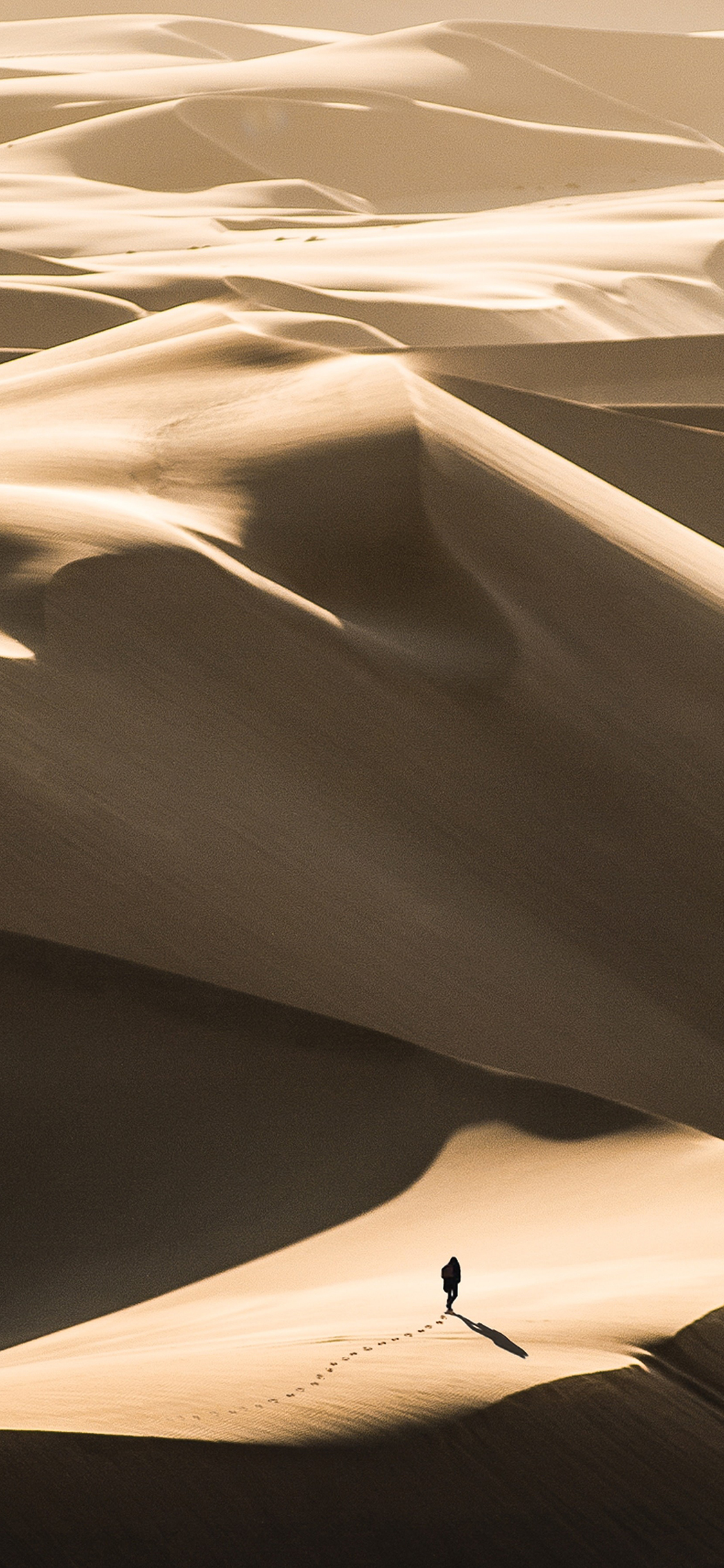 [2436×1125]沙漠 荒芜 影子 曲线 人影 苹果手机壁纸图片