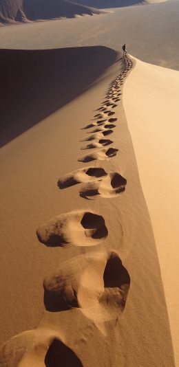 [2436x1125]沙漠 荒芜 脚印 黄沙 苹果手机壁纸图片