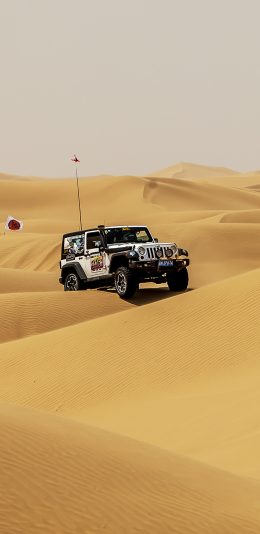 [2436x1125]沙漠 越野车 竞技 荒漠 苹果手机壁纸图片