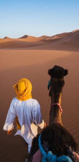 [2436x1125]沙漠 阿拉伯 背影 异域 骆驼 苹果手机壁纸图片
