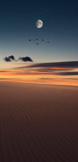 [2436x1125]沙漠 鸟 夜空 星空 月亮 苹果手机壁纸图片