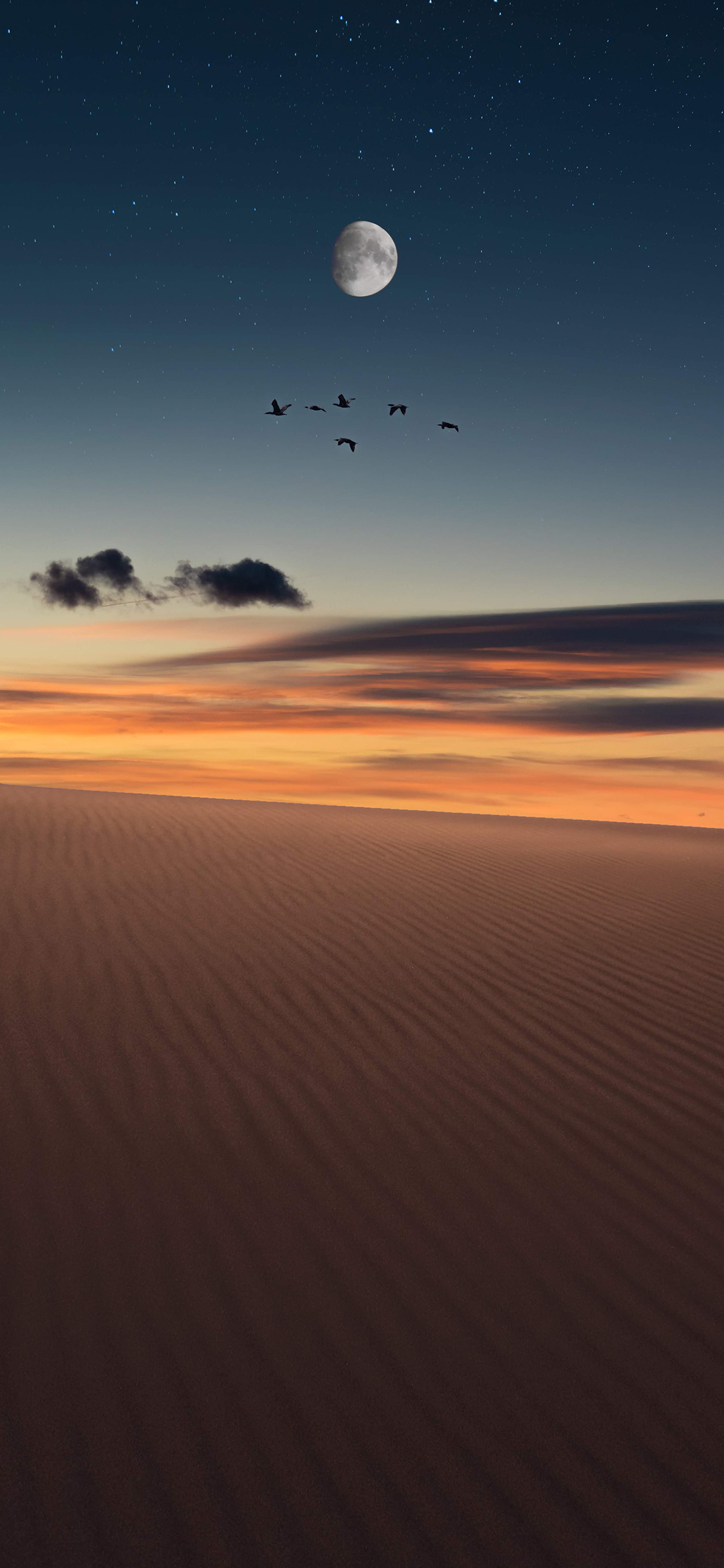 [2436×1125]沙漠 鸟 夜空 星空 月亮 苹果手机壁纸图片