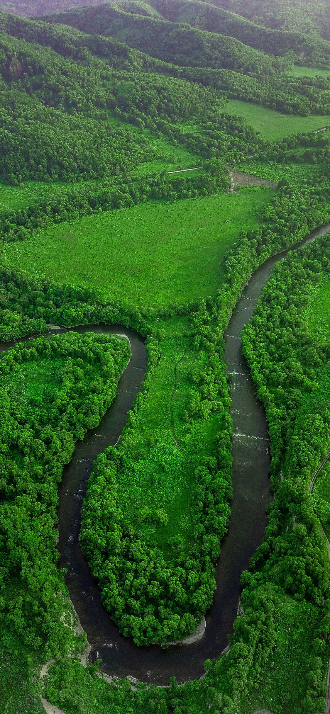 [2436×1125]河流 草原 绿色 大自然 平原 苹果手机壁纸图片